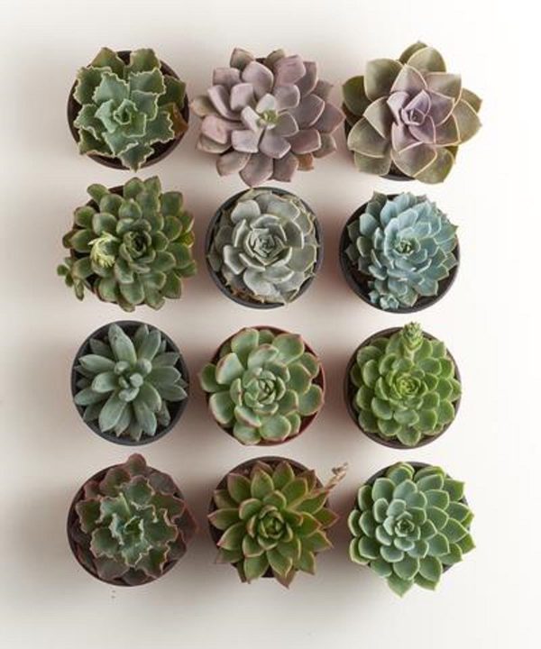 Gifts for Her and Unusual Gift Ideas for Women