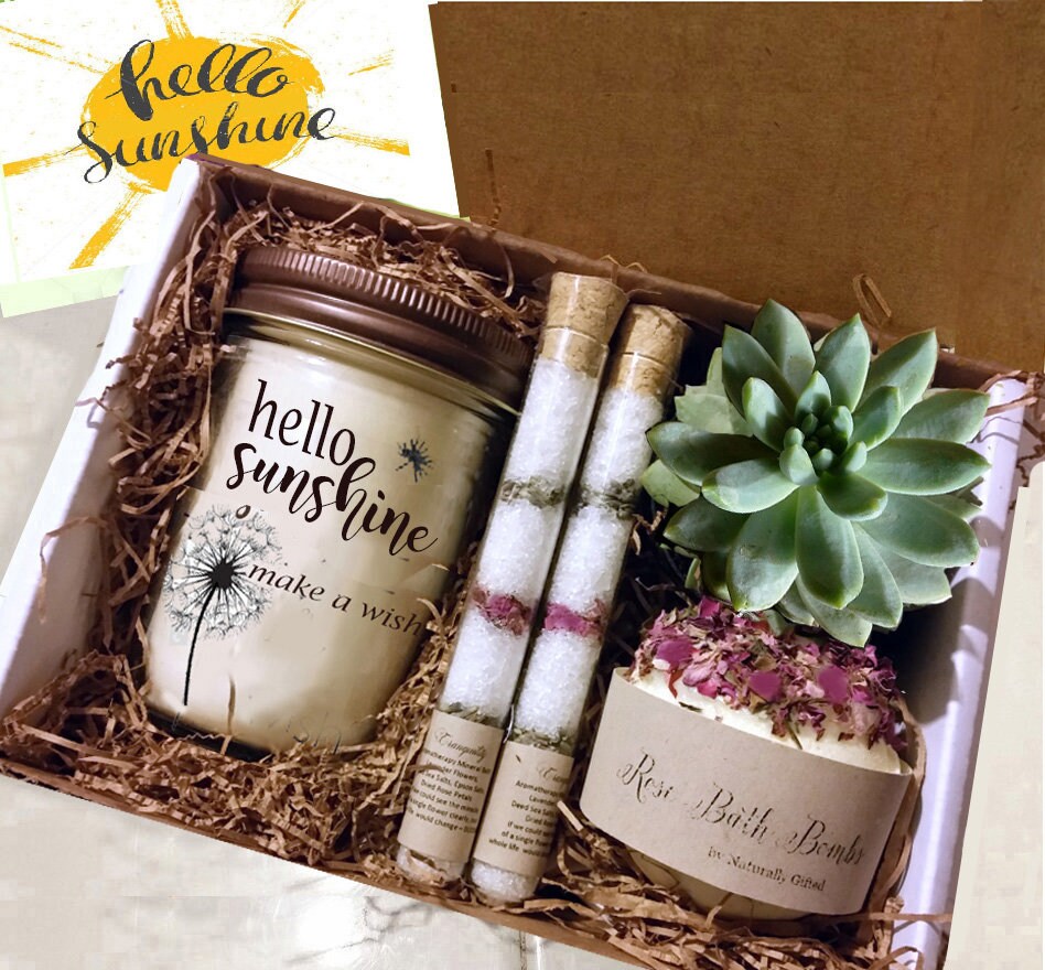Box of Sunshine, Miss You Gift, Live Succulent Box Send a Gift, Succulent Gift Best Friend Gift, Friendship Gift, Cheer Up Gift, Friend Gift