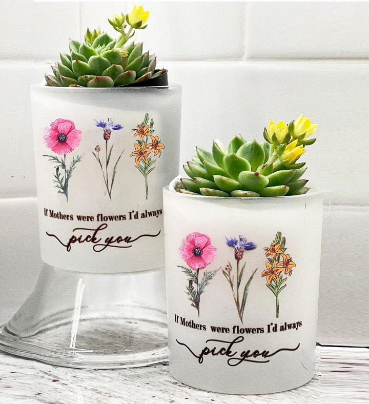 Sister Planter – Mom Gift-Best Mom-Mother Gift-Mom Birthday-Congrats Gift Box – Friendship Gift Box – gift for mom from son